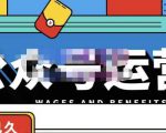 零零已久·从0-1运营公众号，零基础小白也能上手，系统性了解公众号运营-网赚36计