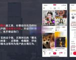 麦子互娱短视频带货·0基础做好物分享账号，无需出镜无需货源无需拍摄-网赚36计