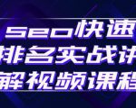 seo快速排名实战讲解视频课程，揭秘seo快排原理-网赚36计