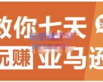 晟尧跨境·教你七天玩赚亚马逊，教你轻松玩赚亚马逊，适合小白学习-网赚36计