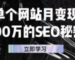 单个网站月变现100万的SEO秘密，百分百做出赚钱站点-网赚36计