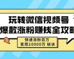 玩转微信视频号爆款涨粉赚钱全攻略,快速涨粉百万变现万元秘诀-网赚36计