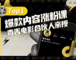 【毒舌电影合伙人亲授】抖音爆款内容涨粉课，5000万抖音大号首次披露涨粉机密-网赚36计