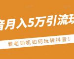 老古董·抖音月入5万引流玩法,看看老司机如何玩转抖音(附赠:抖音另类引流思路)-网赚36计