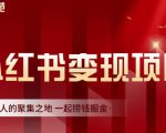 渣圈学苑·小红书虚拟资源变现项目，一起捞钱掘金价值1099元-网赚36计
