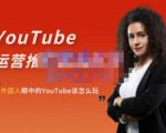 外国人眼中的YouTube该怎么玩?Elisa·YouTube运营推广实战技巧-网赚36计