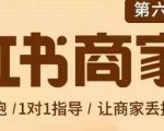 贾真-小红书商家营第6期商家版,21天带货陪跑课,让商家丢掉付流量-网赚36计