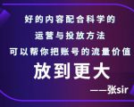 张sir账号流量增长课,告别海王流量,让你的流量更精准-网赚36计