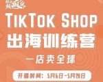 疯人院:TikTok Shop出海训练营（一店卖全球)，出海抢占全球新流量-网赚36计