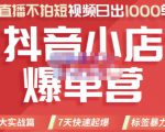 推易电商·2022年抖音小店爆单营，不直播、不拍短视频、日出1000单，暴力玩法-网赚36计