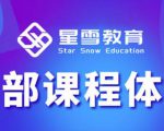 星雪教育淘系高级班，更全的运营提升方案，零基础由浅入深，店铺最新玩法-网赚36计
