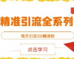 闲鱼精准引流全系列课程，每天引流100精准粉【视频课程】-网赚36计