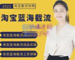 2022淘宝蓝海截流攻略,淘宝蓝海截流选品上货实操讲解-网赚36计