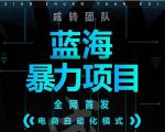 引流哥蓝海暴力躺赚项目:无需发圈无需引流无需售后,每单赚50-500(教程+线报群)-网赚36计