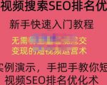 宋老师·短视频搜索SEO优化,教你10分钟创作一个短视频,三天排名上第一-网赚36计