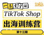 TikTokShop出海训练营（第十三期），打开全球流量新思维，出海抢占全球新流量，一店卖全球-网赚36计