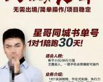 星哥同城教育书单号课程，无需出境简单操作项目稳定-网赚36计