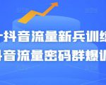 Peter抖音流量新兵训练营-破解抖音流量密码群爆训练营（新兵）-网赚36计