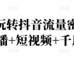 2022玩转抖音流量密码，(直播+短视频+千川)-网赚36计