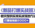 凌童《新品打爆实战班》,一套完整的实操实战落地方法，打爆链接超2000+（28节课)-网赚36计