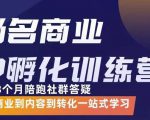 杨名商业IP孵化训练营，从商业到内容到转化一站式学 价值5980元-网赚36计
