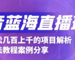 抖音最新蓝海直播玩法，3分钟赚30元，一天轻松1000+，只要你去直播就行【详细玩法教程】-网赚36计