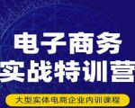 民赛电气内部出品:电子商务实战特训营,全方位带你入门电商,308种方式玩转电商-网赚36计