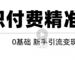 玩转知识付费项目精准引流,给你1套课多账号操作落地方案!-网赚36计