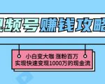 玩转微信视频号赚钱:小白变大咖涨粉百万实现快速变现1000万的现金流-网赚36计
