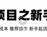 虚拟项目快速起店模式，0成本打造月入几万虚拟店铺！-网赚36计