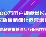 8000万用户规模增长方法论私域精细化运营增长，私域流量硬课助力业务跃迁-网赚36计