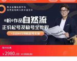 0粉0作品自然流正价起号及稳号全教程，专业自然流起号机构流程化教学（价值2980元）-网赚36计
