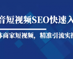抖音短视频Seo搜索排名优化新手快速入门教程，实体商家短视频，精准引流实操课-网赚36计