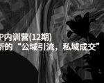 新媒体IP内训营(12期),一套全新的“公域引流,私域成交”IP打法,直接带走-网赚36计