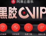 网易云音乐撸黑胶年卡及变现方法，收益可无限放大-网赚36计