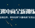 兴趣电商全新训练营:打破品销边界,带你玩转“兴趣电商“实现业务增长-网赚36计