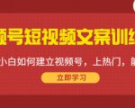 视频号短视频文案训练营:0基础小白如何建立视频号,上热门,能卖货!-网赚36计