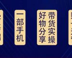 好物分享高阶实操课：0基础一部手机做好好物分享带货（24节课）-网赚36计