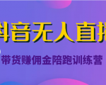抖音无人直播带货赚佣金陪跑训练营(价值6980元)-网赚36计