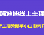 暴躁迪迪线上主播课，金牌主播教新手小白如何开播-网赚36计