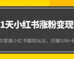 21天小红书涨粉变现营(第4期):带你掌握小红书爆款玩法,月赚10W+秘密-网赚36计
