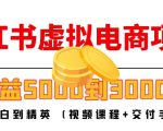 小红书虚拟电商项目：从小白到精英 月收益5000到30000 (视频课程+交付手册)-网赚36计