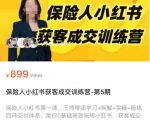 保险人小红书获客成交训练营,0基础高效玩转小红书,可复制的获客成交之路-网赚36计