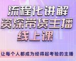 婉婉-主播拉新实操课,流程化讲解资深带货主播,让每个人都成为经得起考验的主播-网赚36计