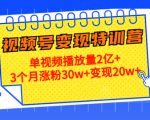 21天视频号变现特训营：单视频播放量2亿+3个月涨粉30w+变现20w+（第14期）-网赚36计
