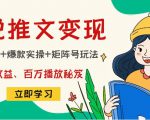 小说推文训练营：引流技巧+爆款实操+矩阵号玩法，百倍效益、百万播放秘笈-网赚36计