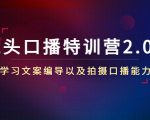 镜头口播特训营2.0版，学习文案编导以及拍摄口播能力（50节课时）-网赚36计