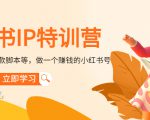 小红书IP特训营:从搭建-制作-爆款脚本等等,做一个赚钱的小红书号-网赚36计