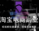 蓝Sir派·淘宝短视频快速起店，替代传统搜索方式，学会做一个不一样的淘宝店-网赚36计