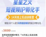 瑶瑶·自然流短视频IP孵化第二期,14天线上实战训练营,赋能100个人成为有数据能赚钱的独立IP孵化手-网赚36计